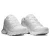XT-Pathway “White”